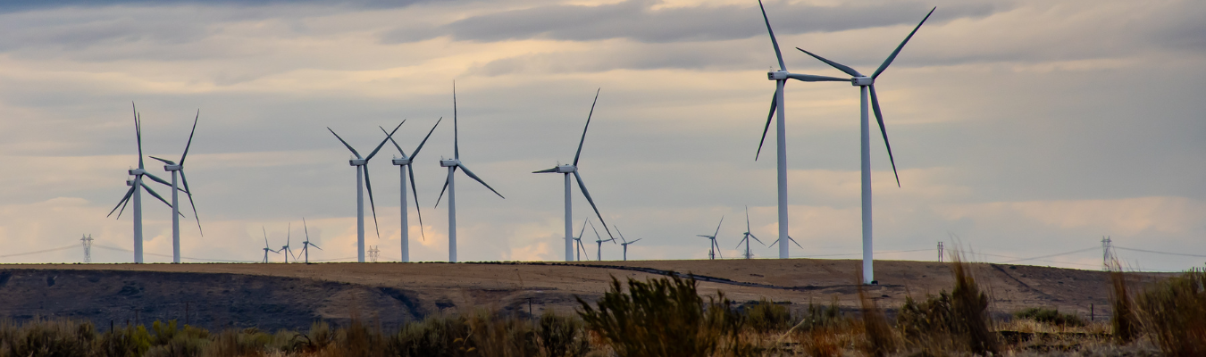 Driving Innovation for National Growth